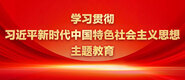 大鸡巴操骚逼AV学习贯彻习近平新时代中国特色社会主义思想主题教育_fororder_ad-371X160(2)